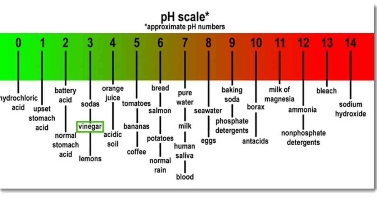 Ph Levels of Cleaning Vinegar Vs White Vinegar