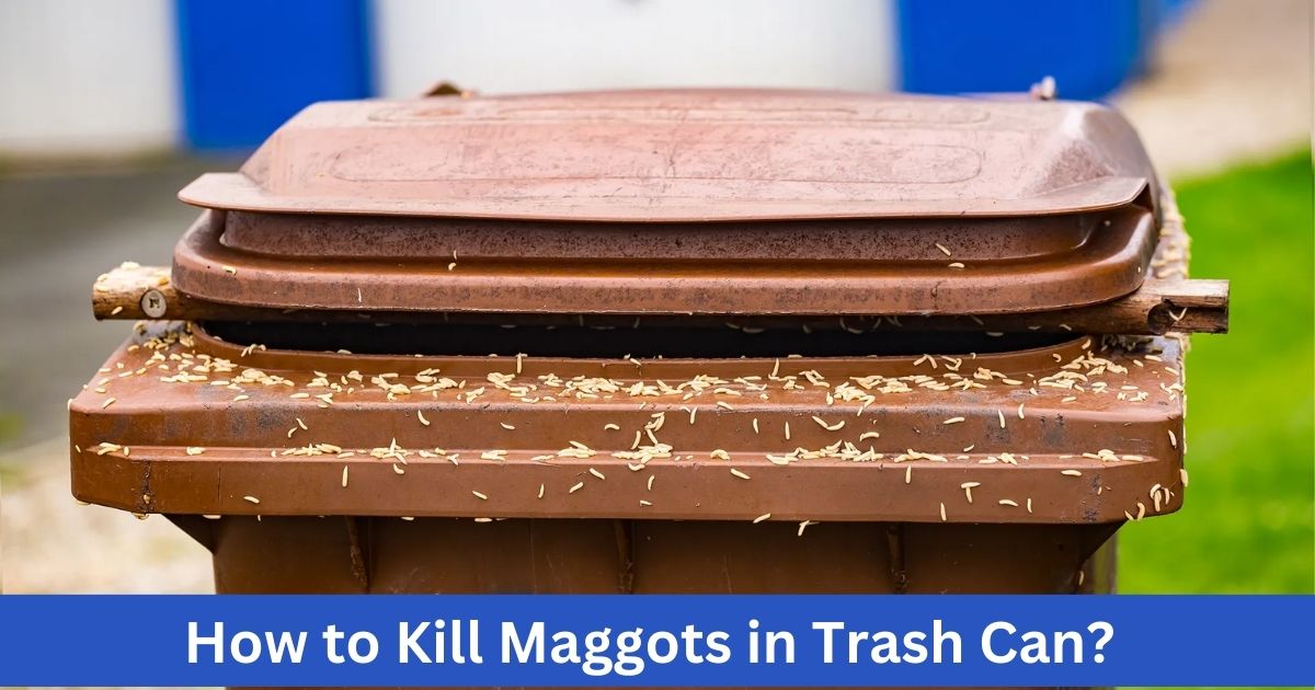 How to Kill Maggots in Trash Can?