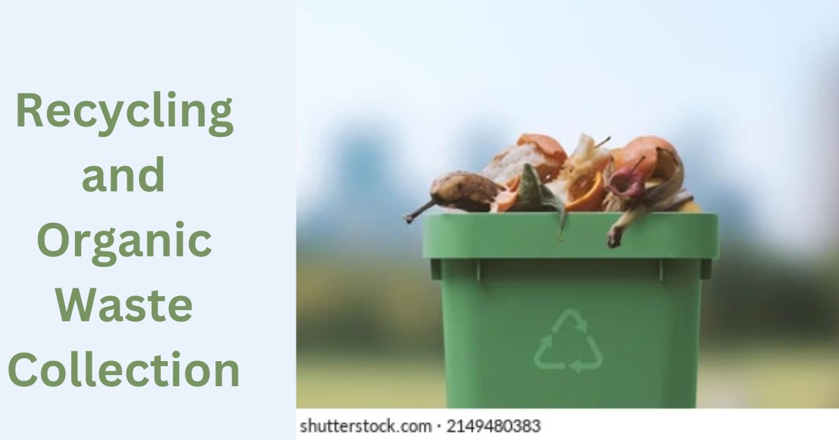 Recycling and Organic Waste Collection